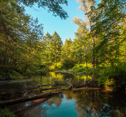 Green wellspring at the maple mountain