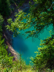 Top view of the coastline of the forest lake in sunny summer day.