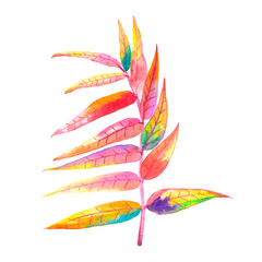 sprig of colorful leaves