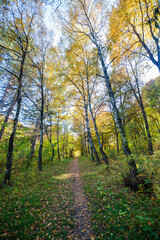 Fototapeta premium Beautiful autumn landscape in Vanadzor's botanical garden