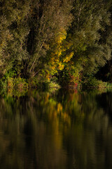 Fototapeta na wymiar autumn forest reflection