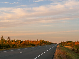 Empty highway in the evening among the autumn forest in the sunlight at sunset.