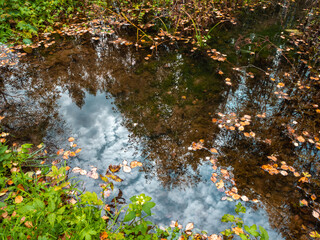Obraz na płótnie Canvas Reflection of the sky and trees in spring water in the forest