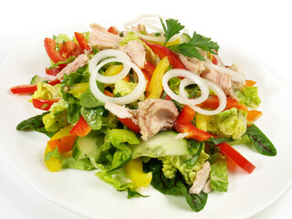 Colorful mixed Salad with white Tuna and Onions