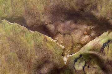 Skins of the tropical fruit of the custard apple with traces of white pulp. Texture background.