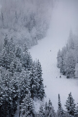 Skiing at Deer Valley, Utah, near Salt Lake City during winter.