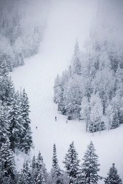Skiing at Deer Valley, Utah, near Salt Lake City during winter.