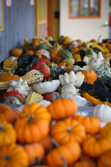 Multi Colored Gourds at a Farmer's Market