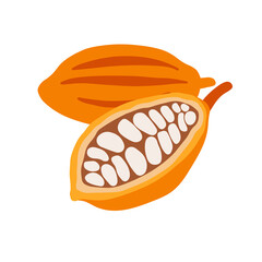 Hand drawn color raw cocoa beans food isolated on white background. Vector illustration.