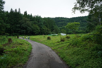 Fototapeta na wymiar 姫川源流自然探勝園　親海湿原　白馬　風景　夏　夏休み　田んぼ