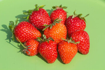 Strawberries on green background after harvesting in a vegetable garden