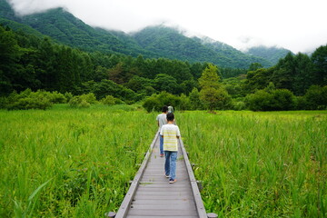Fototapeta na wymiar 湿原を歩く　木道　家族　散歩　親海湿原　夏休み　子供達