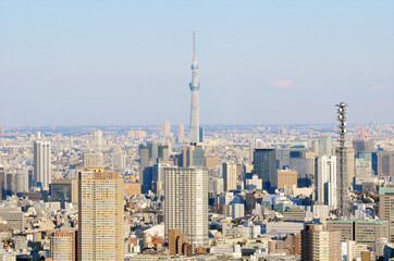 スカイツリーの見える俯瞰の東京の町並み