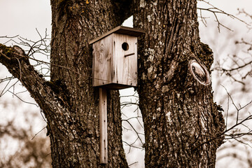 Wooden birdhouse high in a tree