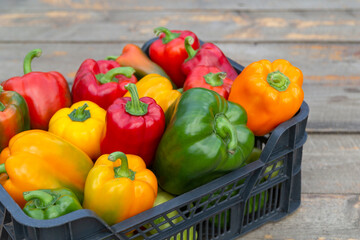 Fresh colorful bell pepper box on wooden table. Close up.