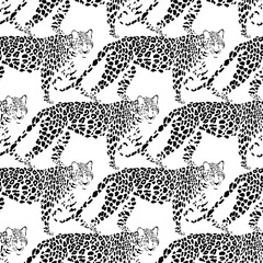 Seamless pattern with leopards. Hand-drawn vector illustration on white. Animal art background. Black and white.