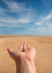 A small significant pebble lies in the center of the palm against the sand.