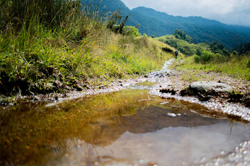 paisaje, vegetación, nubes, montañas, rio, reflejo, agua