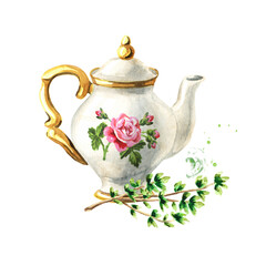 Teapot and Thyme. Hand drawn watercolor illustration isolated on white background
