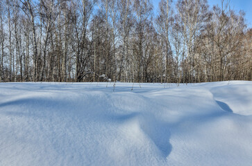 Wonderful winter landscape - snowdryfts near white birch forest