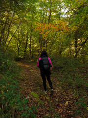 young woman walking in the forest with a backpack