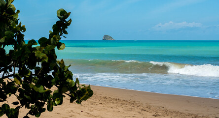 Paysage littoral avec de la végétation tropicale, des raisiniers sur une plage de sable blanc avec une vague et une mer des Caraïbes bleue turquoise avec un rocher à l'arrière plan et un ciel dégagé