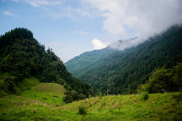 paisaje, vegetación, nubes, montañas