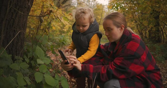 blonde woman and child boy are viewing plants in forest during family hike and trip, photographing by smartphone