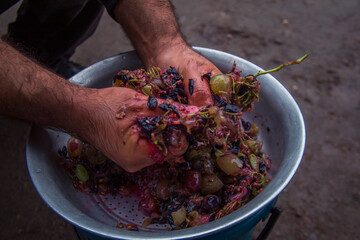 the  hand stomping a grapes