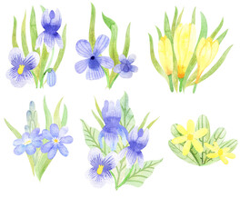 Fototapeta na wymiar Watercolor set of flowers