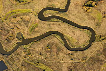 Aerial top-down view to a narrow river winding like a snake on a yellow meadow.