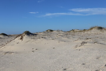 Fototapeta na wymiar sand dunes with grass by the sea