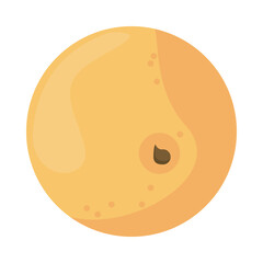 orange citrus fruit nature icon