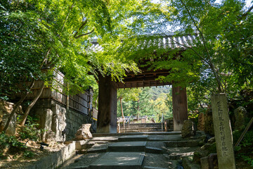 京都　高台寺