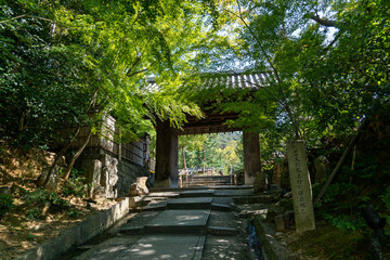 京都　高台寺