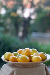 Wooden bowl with tangerines in a garden. Selective focus.