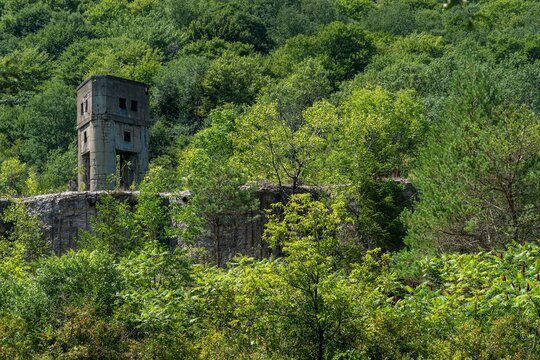 Bayless Pulp and Papermill Ruins
