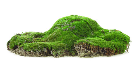 Wet green mossy hill isolated on a white background. Green moss with grass.