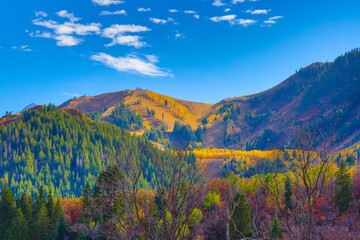Obraz premium Sundance Mountain Resort Autumn