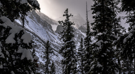 Snow covered Canadian Rocky Mountains in Banff National Park during the winter.