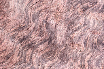 Factural  texture. Copy Space