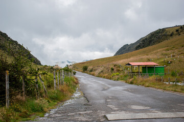 camino, paisaje, vegetación, nubes 