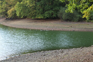 Bucht mit Seev&ouml;gel