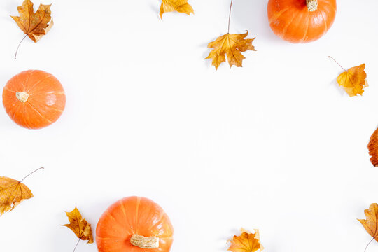 Autumn creative composition. Dried leaves, pumpkins on white background. Halloween, thanksgiving day concept. Autumn, fall background. Flat lay, top view, copy space