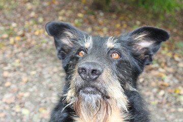 Der Blick nach oben