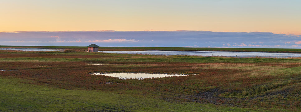 panorama picture of a puddle in a field of salicornia europaea plants after a scenic sunset during autumn at Langwarder Groden (Germany) - a wooden bird observation hut is in background