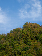 Sky in contrast with the trees in the autumn mountains