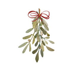 Watercolor illustration of a branch of mistletoe. Hand drawn with watercolors and suitable for all types of designs.