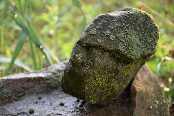 Fototapeta na wymiar a stone that looks like a head, a man of nature, the concept of a person without feelings