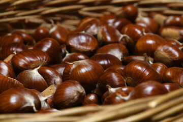 freshly picked chestnuts in wicker basket